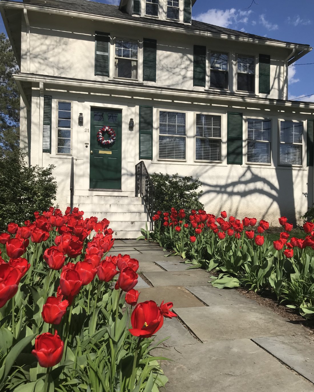 A stucco house with dark green shutters and a green door, a flagstone path leading to it between beds of red tulips.