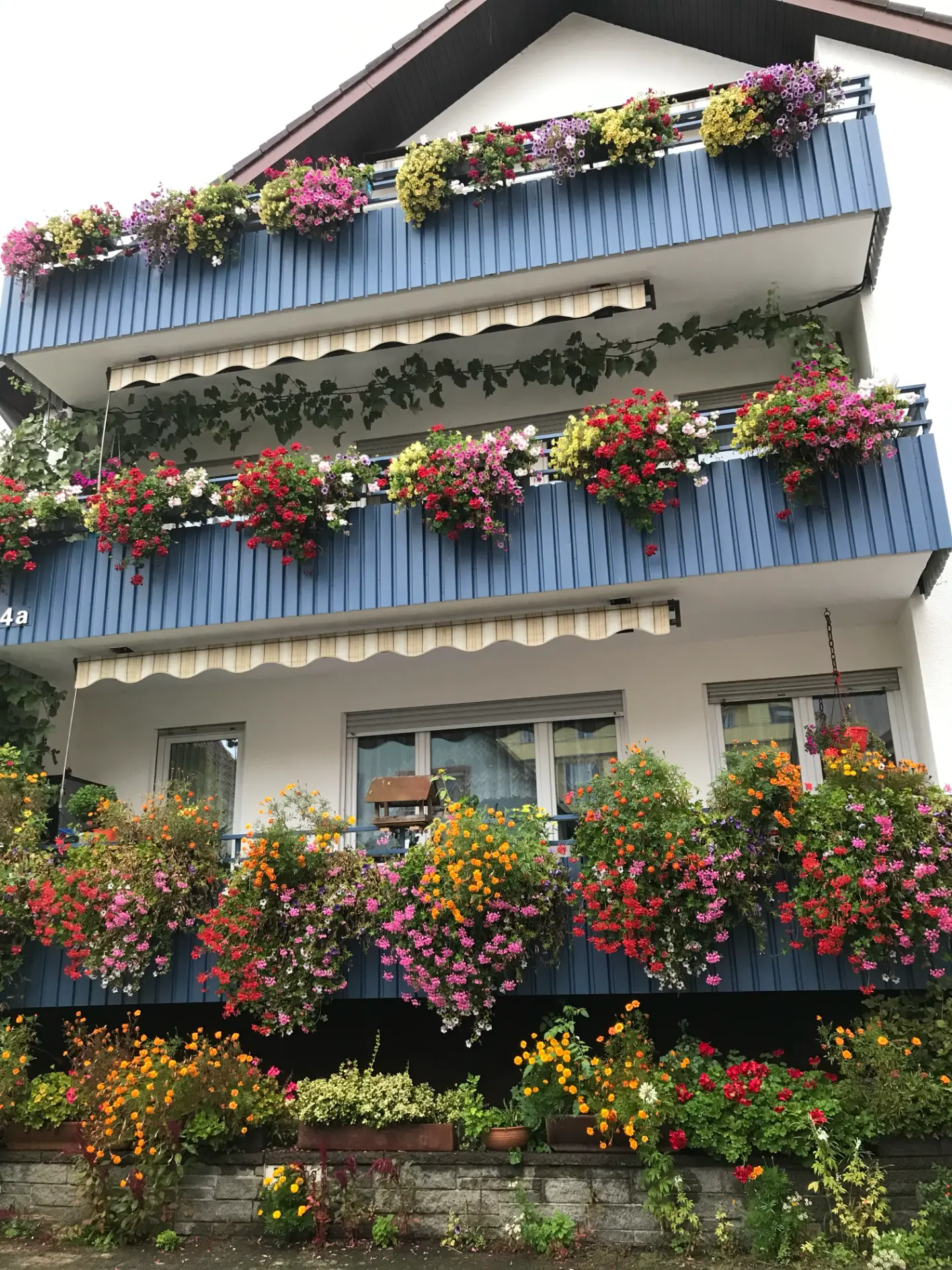 A Freiburg house with three tiers of blue balconies covered in geraniums, petunias and marigolds