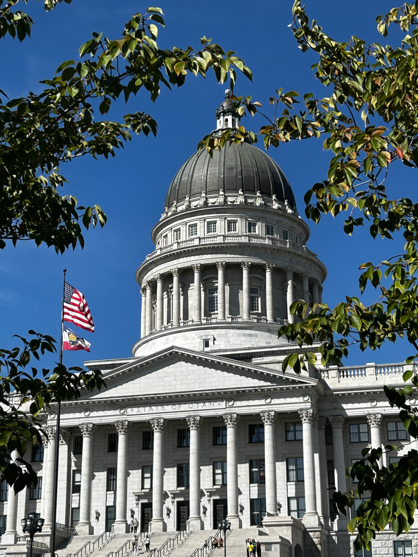 The Utah State Capitol dome in Salt Lake City, framed by tree branches under a clear blue sky