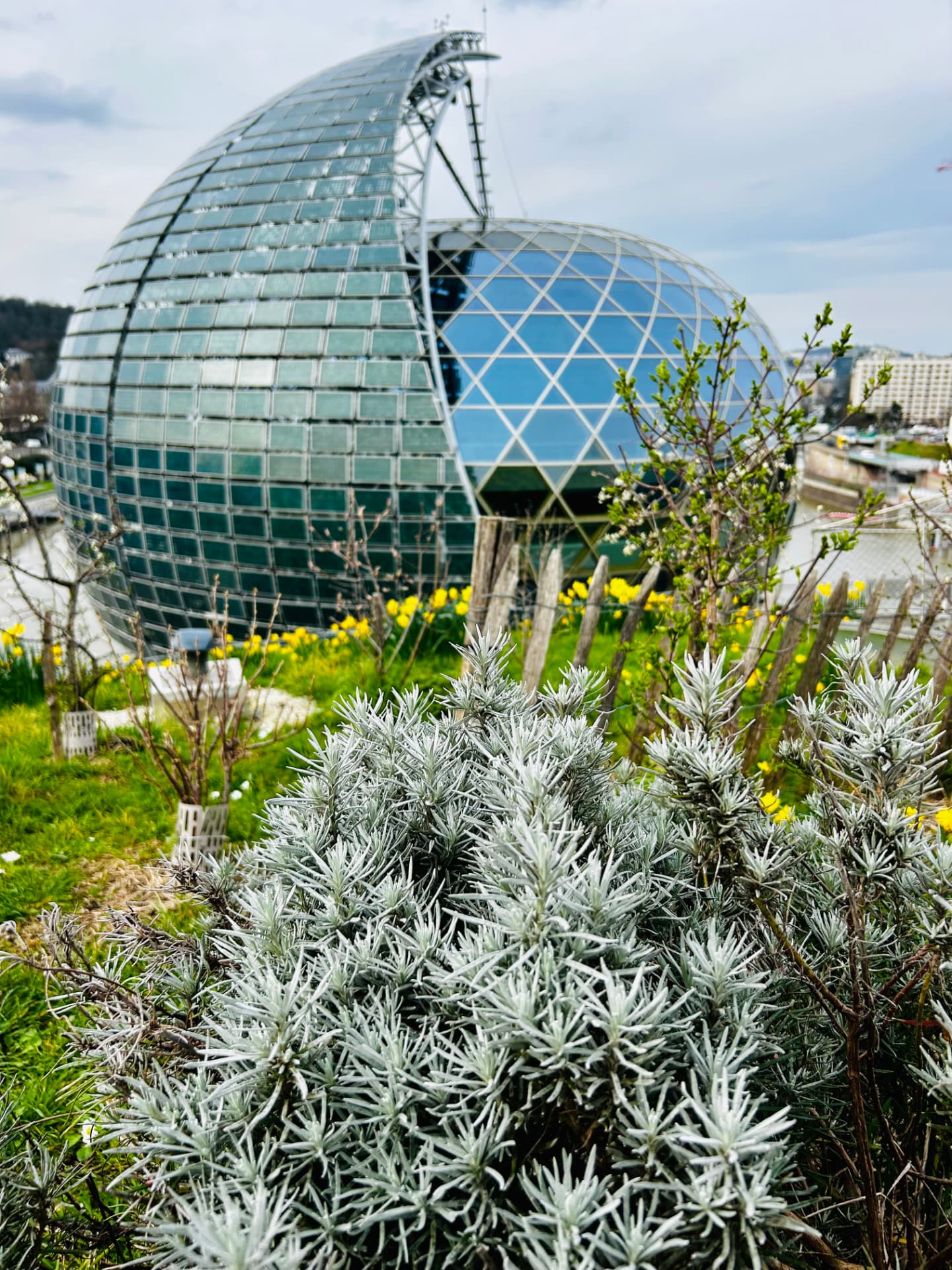La Seine Musicale, the cultural hall on Île Seguin near Boulogne-Billancourt